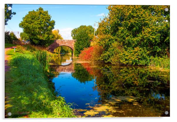 The Grand Western Canal in Autumn Acrylic by Paul F Prestidge