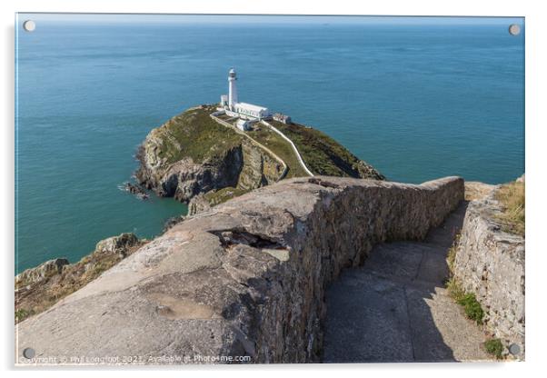 South Stack Lighthouse Anglesey Wales   Acrylic by Phil Longfoot
