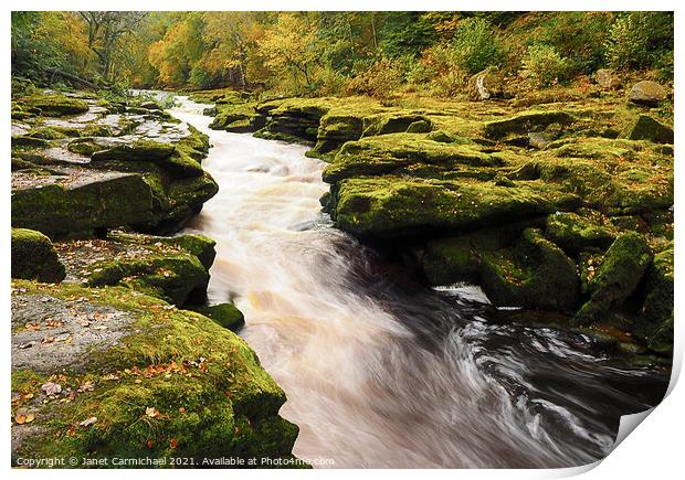 Thrilling Whitewater Rapids in Yorkshire Dales Print by Janet Carmichael
