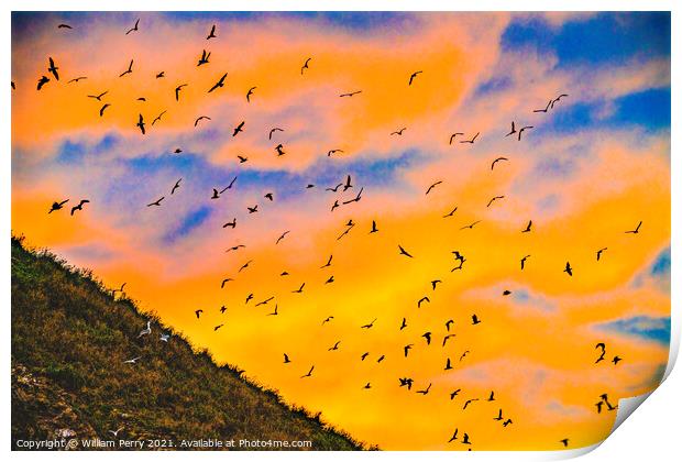 Colorful Sunset Sea Birds Haystack Rock Canon Beach Oregon Print by William Perry