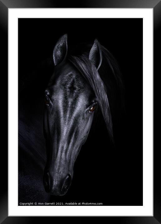 Black Horse 3D Portrait Framed Mounted Print by Ann Garrett