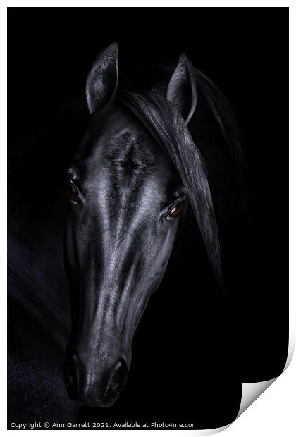 Black Horse 3D Portrait Print by Ann Garrett