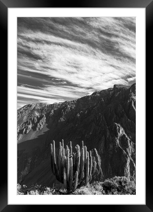 Colca canyon in the Andes, Peru Framed Mounted Print by Phil Crean