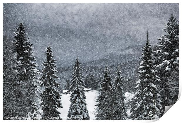Bavarian Winter's Tale  Print by Melanie Viola
