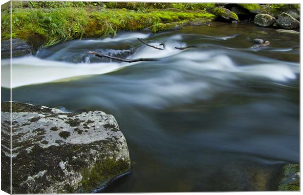 misty river Canvas Print by Northeast Images