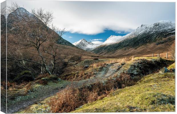 The Mine in Glen Sannox Canvas Print by David Brookens
