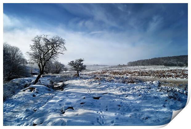Lawrence Field in Winter Print by Darren Galpin