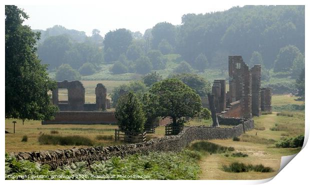 Bradgate House in the summer  Print by Liann Whorwood