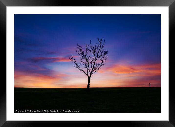 The Lone Tree Sunset  Framed Mounted Print by Jonny Gios