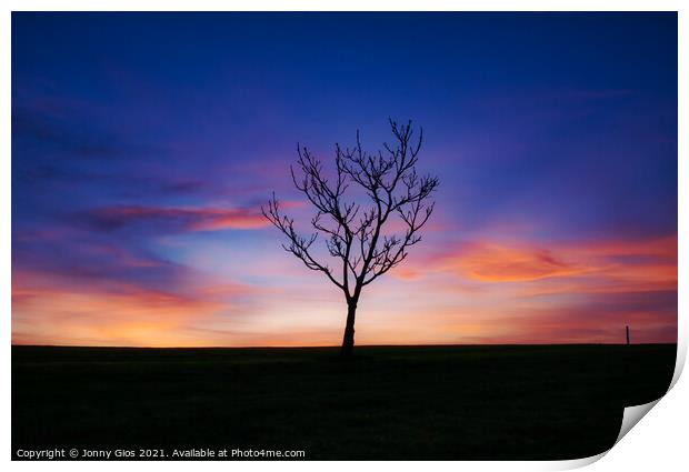 The Lone Tree Sunset  Print by Jonny Gios