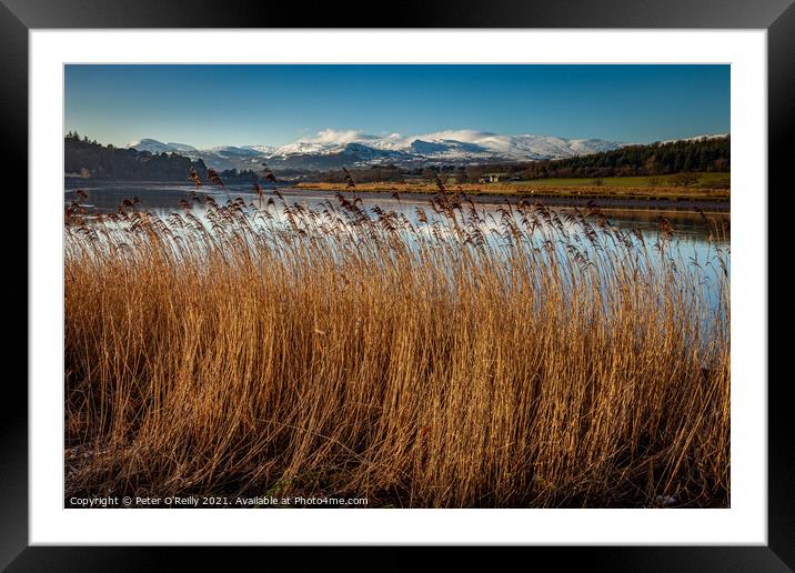 Snowdonia Mountains & the River Conwy Framed Mounted Print by Peter O'Reilly