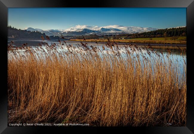 Snowdonia Mountains & the River Conwy Framed Print by Peter O'Reilly