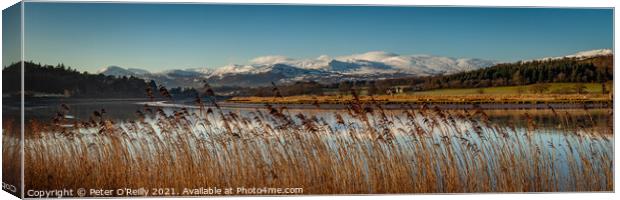 Snowdonia Mountains & the River Conwy Canvas Print by Peter O'Reilly