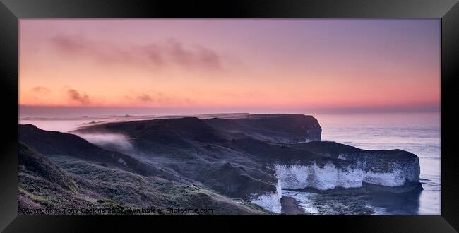 Flamborough Head, East Yorkshire at Sunset Framed Print by Tony Gaskins