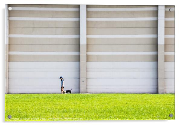 Girl walking dog Acrylic by Kevin Hellon