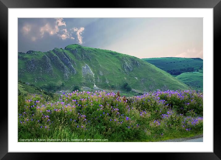 Chrome Hill Framed Mounted Print by Alison Chambers