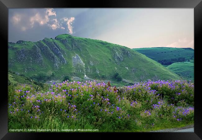 Chrome Hill Framed Print by Alison Chambers