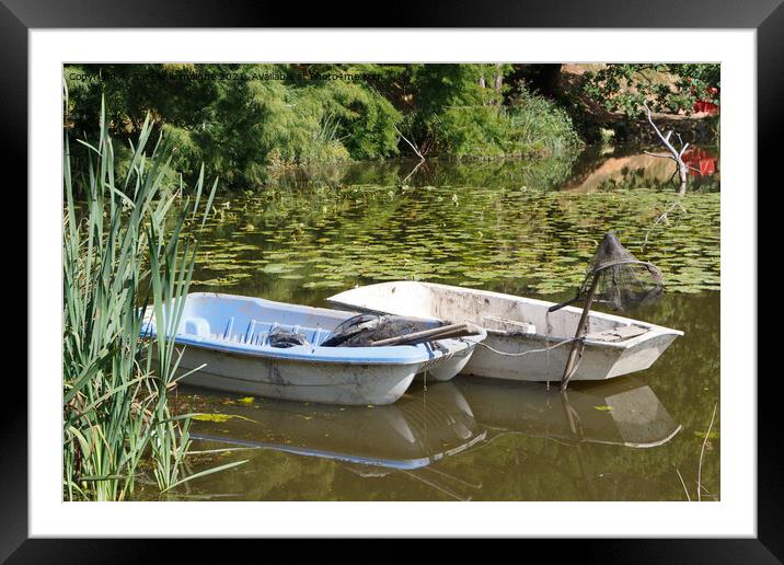 Rowing boats on a pond Framed Mounted Print by aurélie le moigne