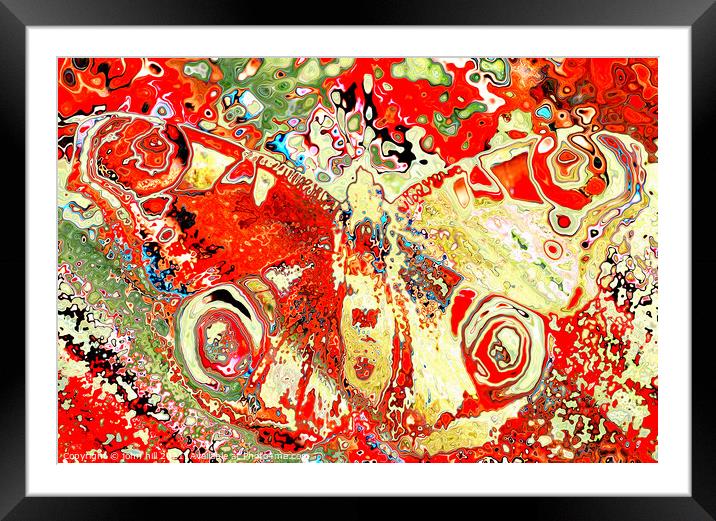 Abstract Butterfly. Framed Mounted Print by john hill