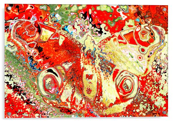 Abstract Butterfly. Acrylic by john hill