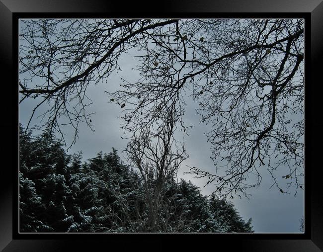 Snowy weather in the west country. Framed Print by Heather Goodwin