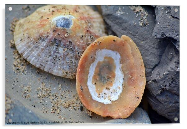 circle from the sand Acrylic by sue jenkins