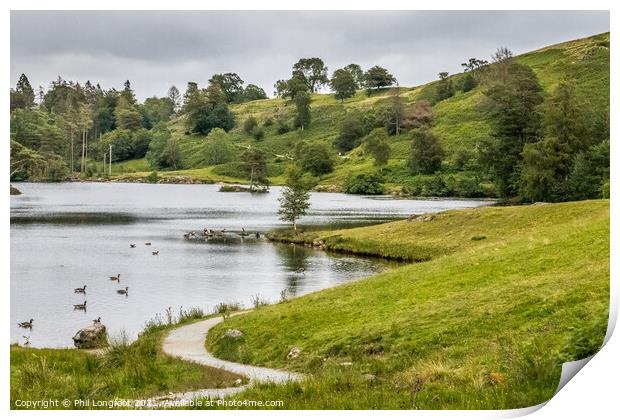 Tarn Hows South Lakes Cumbria  Print by Phil Longfoot