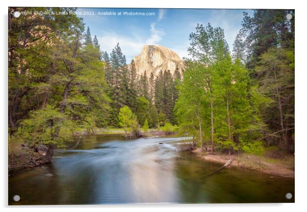 Merced River & Half Dome, Yosemite Acrylic by Colin & Linda McKie
