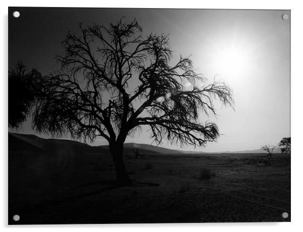 Desert Tree Acrylic by Serena Bowles