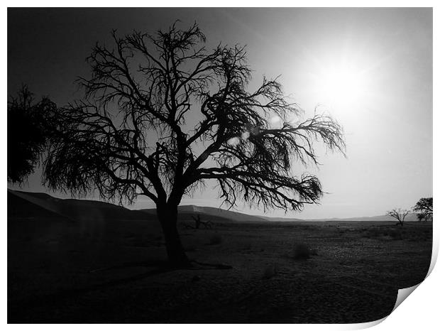 Desert Tree Print by Serena Bowles