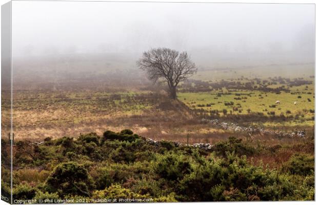A lone tree on a Lake District moor Canvas Print by Phil Longfoot
