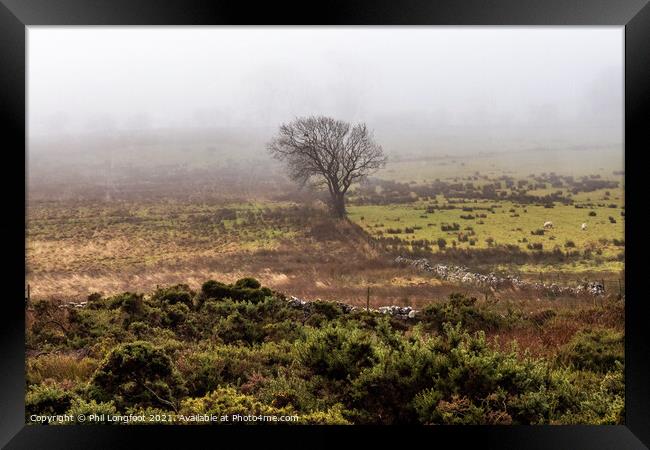 A lone tree on a Lake District moor Framed Print by Phil Longfoot