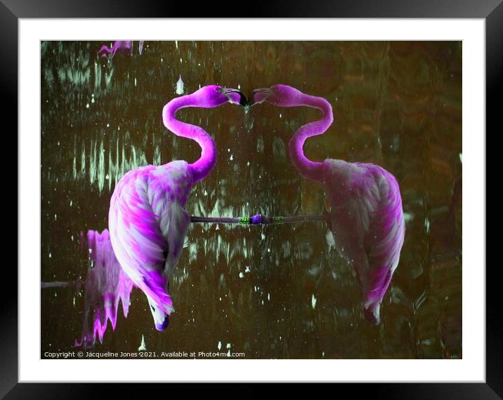 Purple flamingo Framed Mounted Print by Jacqueline Jones