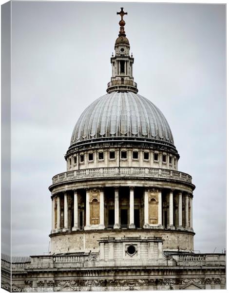 St Paul's Cathedral Canvas Print by Mark Oliver