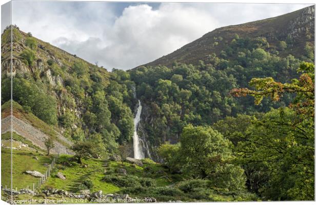 Aber Falls near Abergwyngregyn Snowdonia Gwynedd Canvas Print by Nick Jenkins
