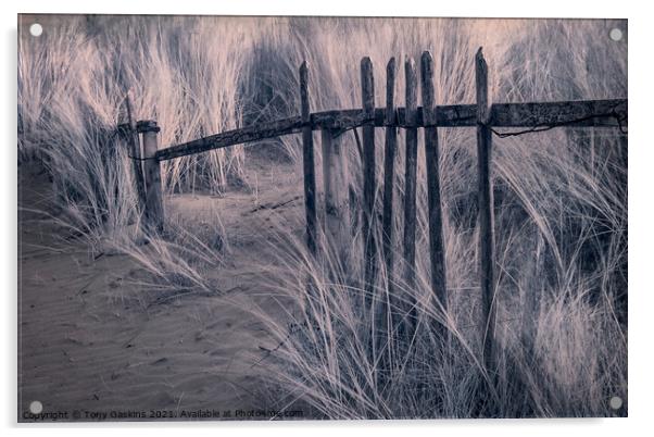 Broken Fence Acrylic by Tony Gaskins