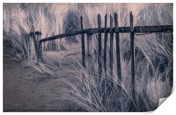 Broken Fence Print by Tony Gaskins