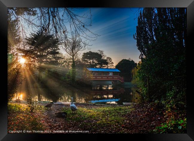 Birkenhead Park Swiss Bridge at Sunrise Framed Print by Ron Thomas