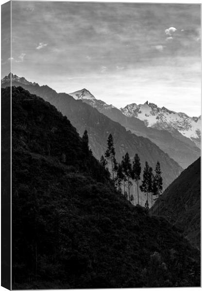 Inca trail in the Andes, Peru Canvas Print by Phil Crean