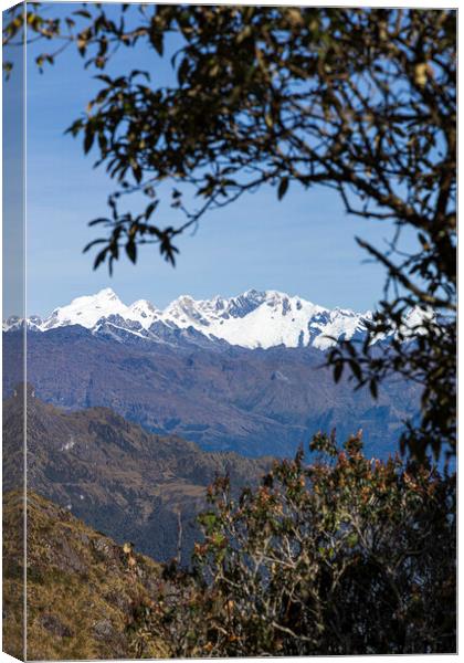 Snowcapped peaks in the Andes, Peru Canvas Print by Phil Crean