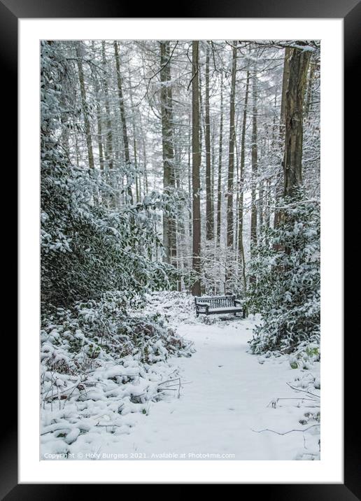 Winter's Embrace: Snow-Cloaked Forest Vista Framed Mounted Print by Holly Burgess