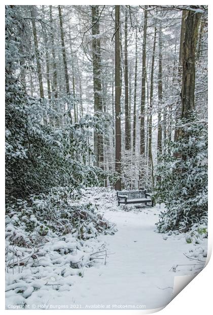 Winter's Embrace: Snow-Cloaked Forest Vista Print by Holly Burgess