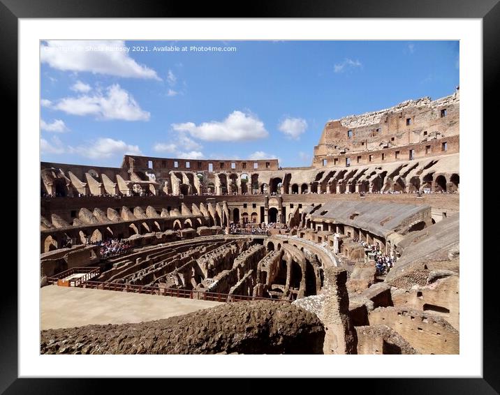 Inside the Colosseum Rome Framed Mounted Print by Sheila Ramsey