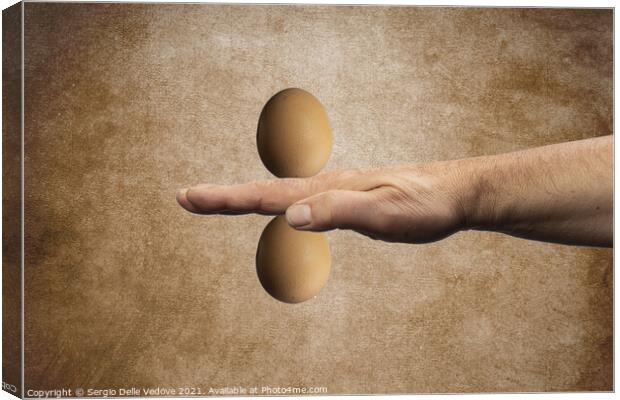 two eggs on the hand Canvas Print by Sergio Delle Vedove
