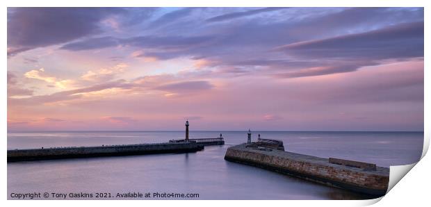 Evening Light, Whitby Harbour Print by Tony Gaskins