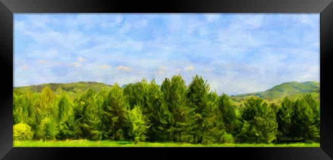 Summer forest and blue sky Framed Print by Wdnet Studio
