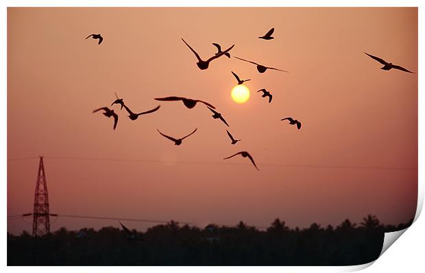 birds agitated Print by Hassan Najmy