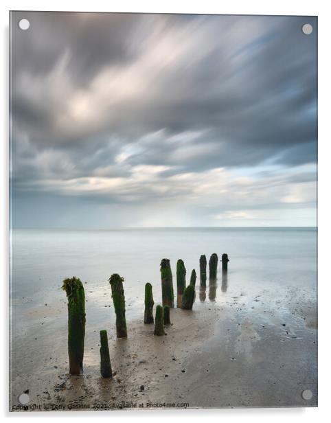 Approaching Rain, Sandsend, North Yorkshire Acrylic by Tony Gaskins