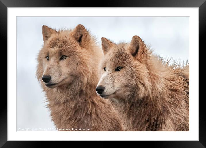 Two heads are better than one Framed Mounted Print by Ali Marley