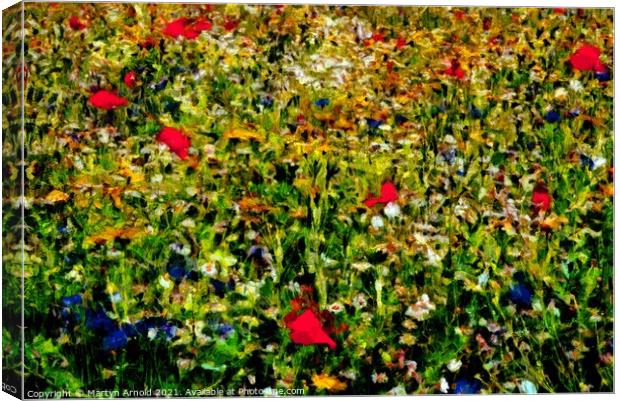 Spring flower meadow Co. Durham - photo based digital art Canvas Print by Martyn Arnold